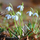 Here is spring, it has already come!