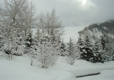 It's very cold today